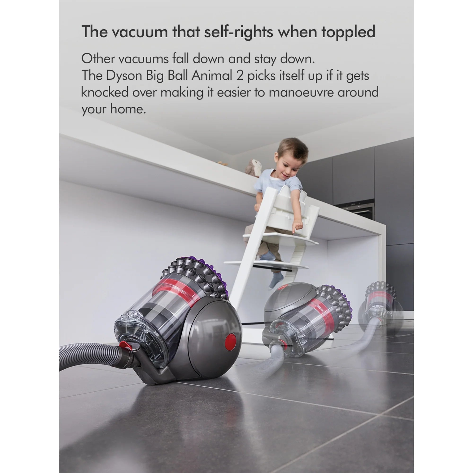 Dyson BIGBALLANIMAL2 Big Ball Animal 2 Vacuum Cleaner - Grey