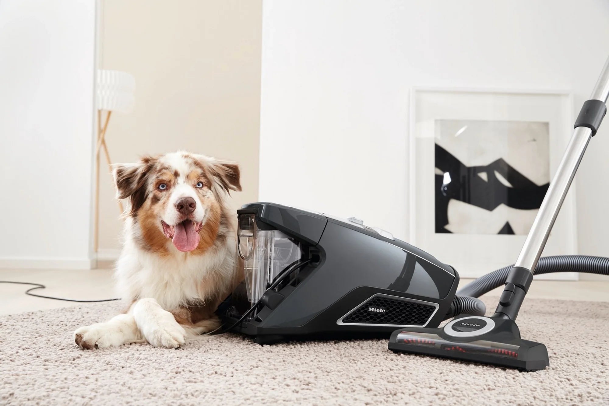Miele CX1BLIZ_CAT_DOG Blizzard Comfort Cat & Dog Cylinder Vacuum Cleaner - Grey
