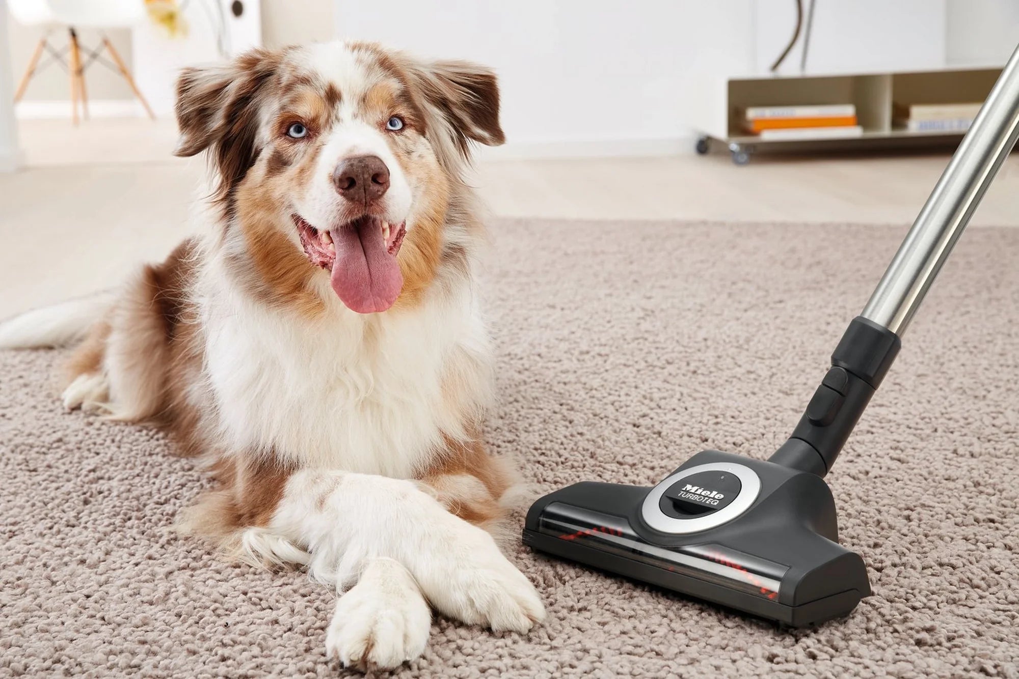 Miele CX1BLIZ_CAT_DOG Blizzard Comfort Cat & Dog Cylinder Vacuum Cleaner - Grey